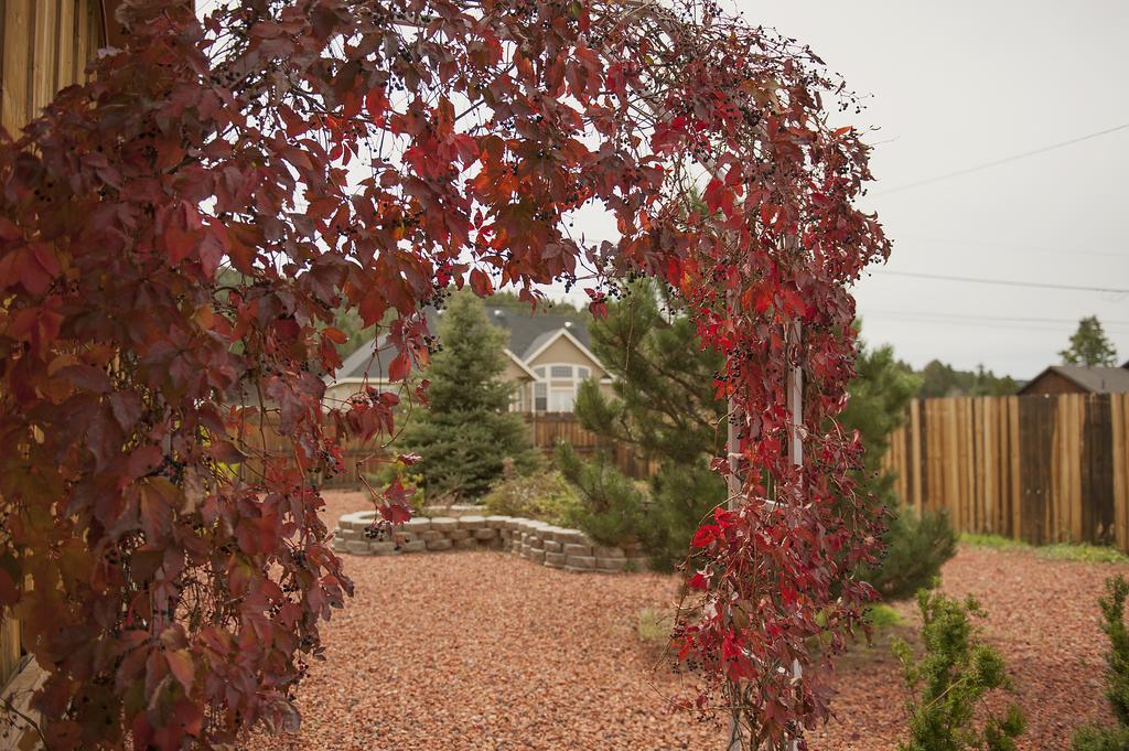 Grand Canyon Bed And Breakfast 威廉斯 外观 照片